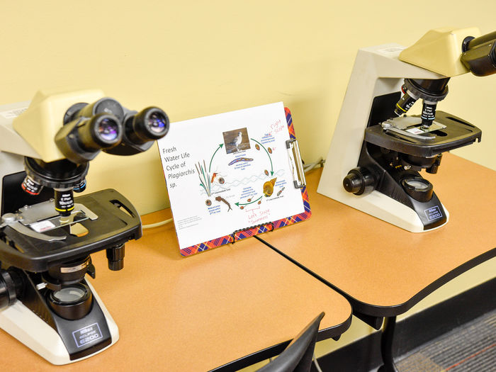 Microscopes setup to identify parasites during a parasitology simulation.