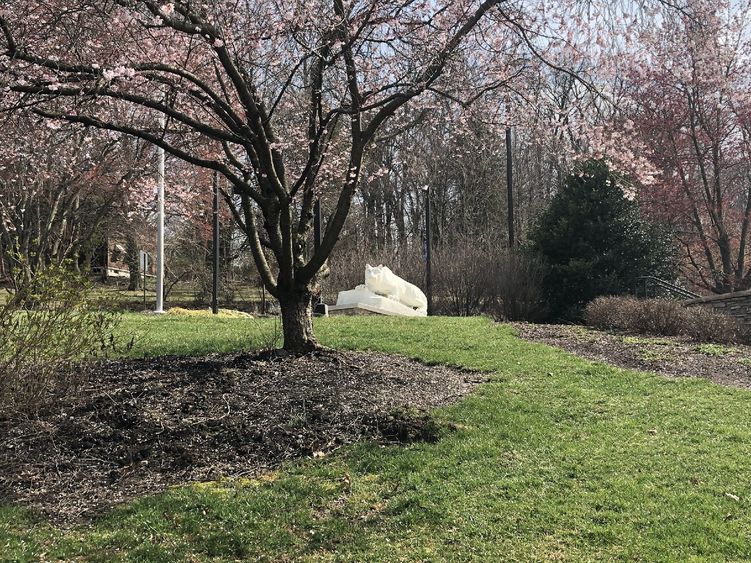 Penn State Nittany Lion Shrine at te top of a hill.